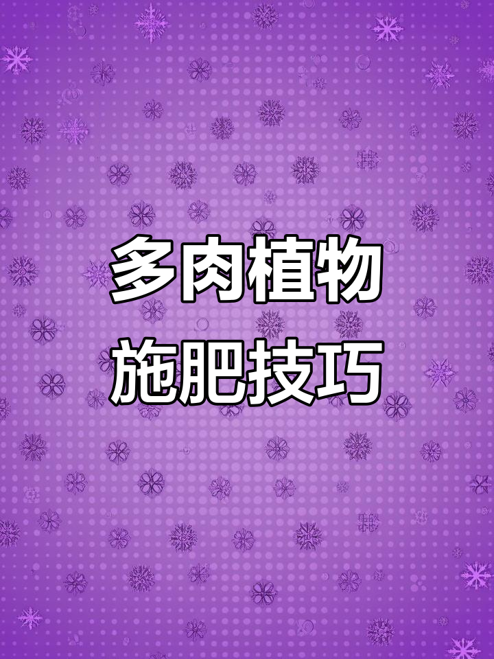 多肉植物专用肥料,轻松养护更健康
