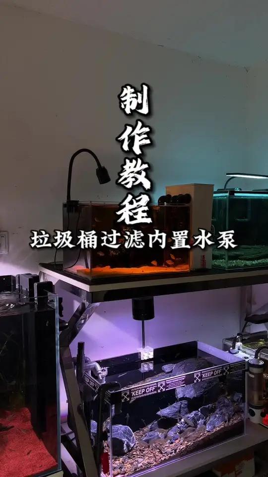 垃圾桶过滤内置水泵制作全过程,自己做的真香!鱼缸过滤 自制垃圾桶过滤 自制过滤盒教程