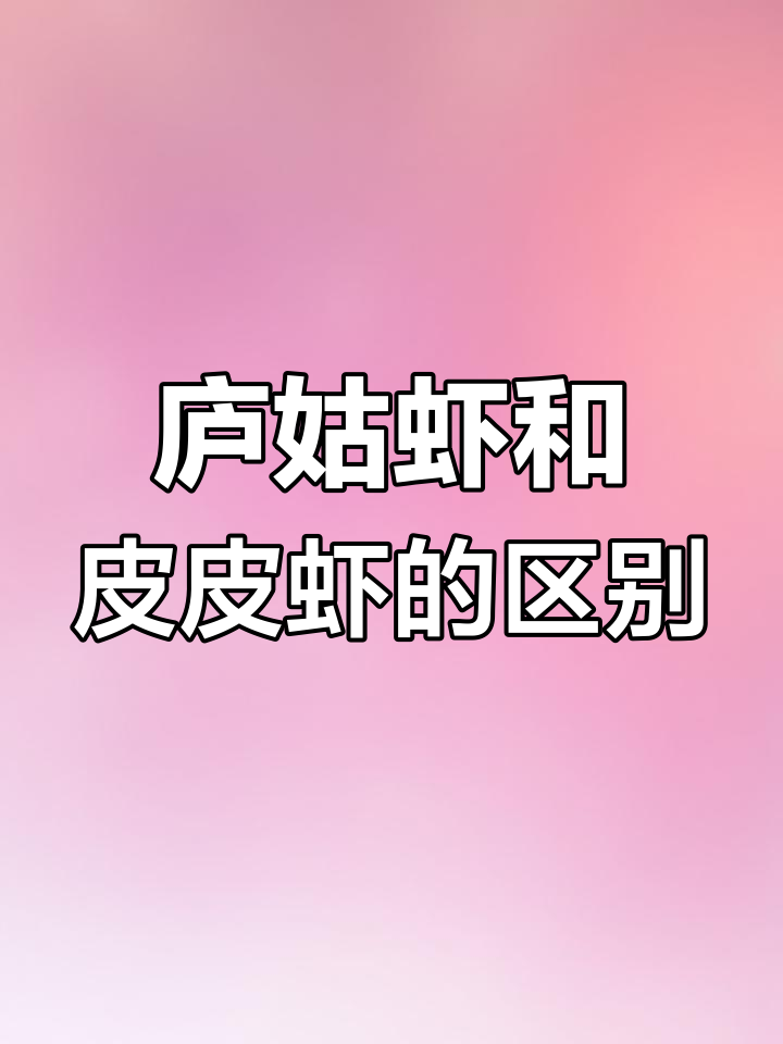 烟台海边现大量泸沽虾,与皮皮虾有何不同?