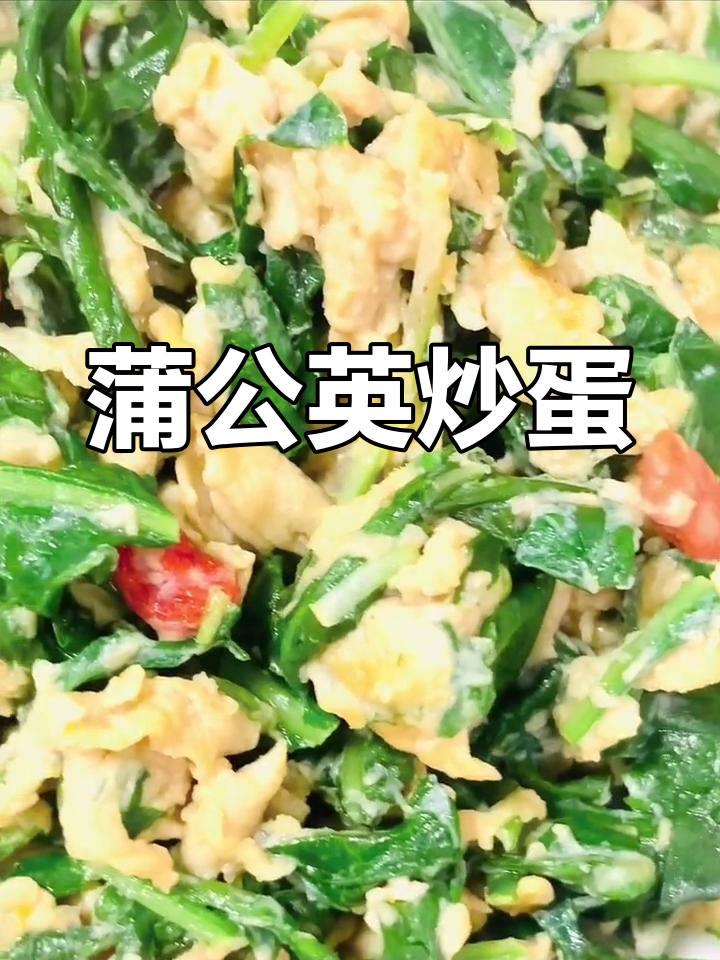 新鲜蒲公英炒鸡蛋,清热解毒又美味