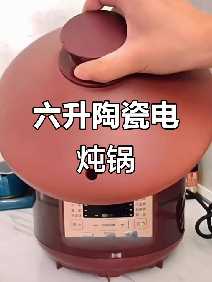 苏泊尔陶瓷电炖锅，六升大容量煲汤煮粥神器