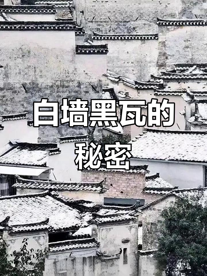 徽派建筑为何白墙黑瓦?实用与美学完美结合