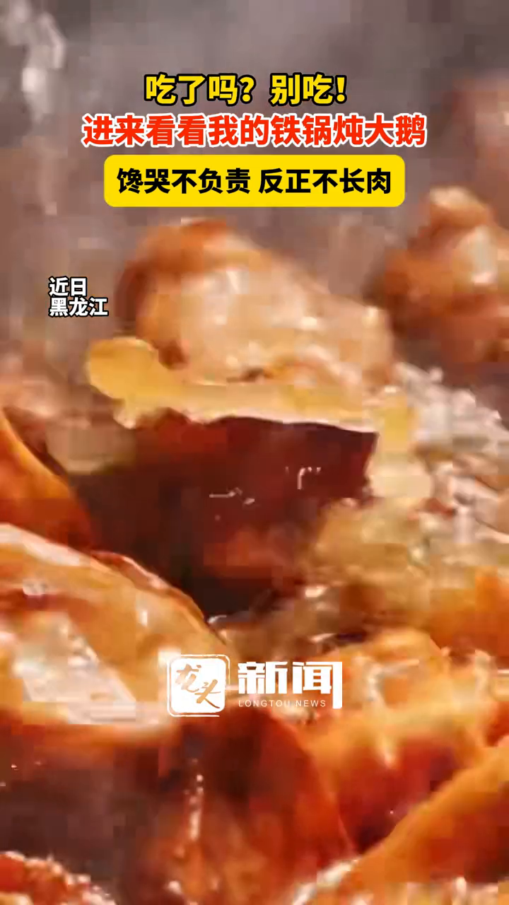 吃了吗?别吃!进来看看我的铁锅炖大鹅 馋哭不负责,反正不长肉