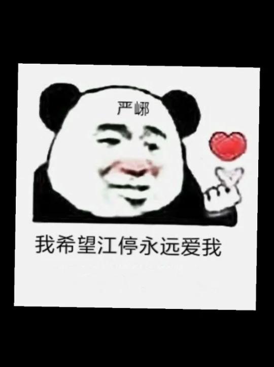 江停:世界第一爱严峫