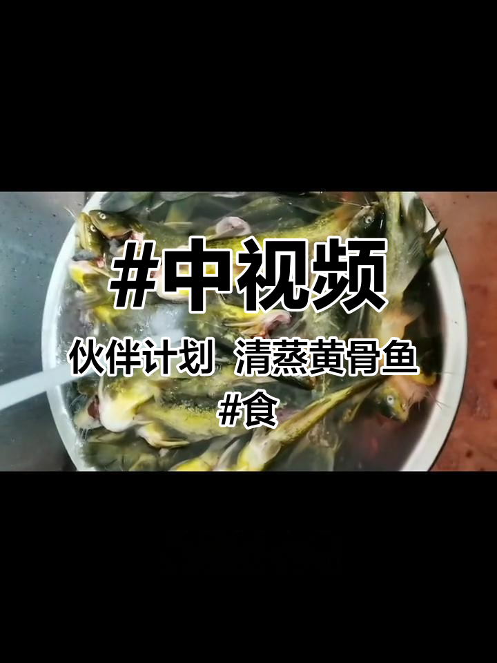 中视频伙伴计划 清蒸黄骨鱼 食堂大锅菜 抖音美食制作 食堂美食 黄辣丁