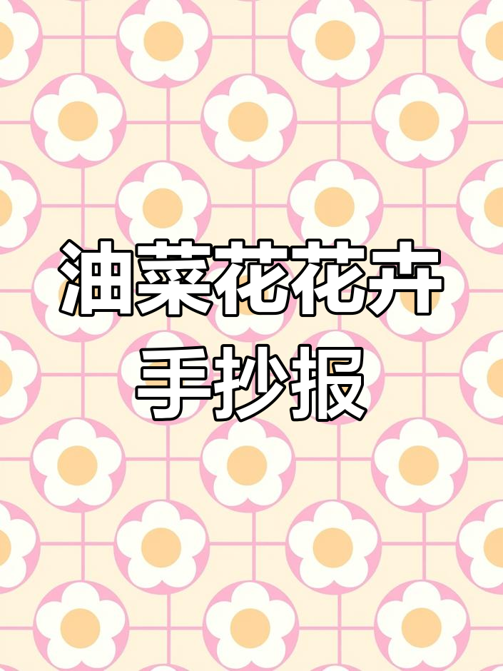 油菜花植物手抄报,记录油菜花的成长与变化