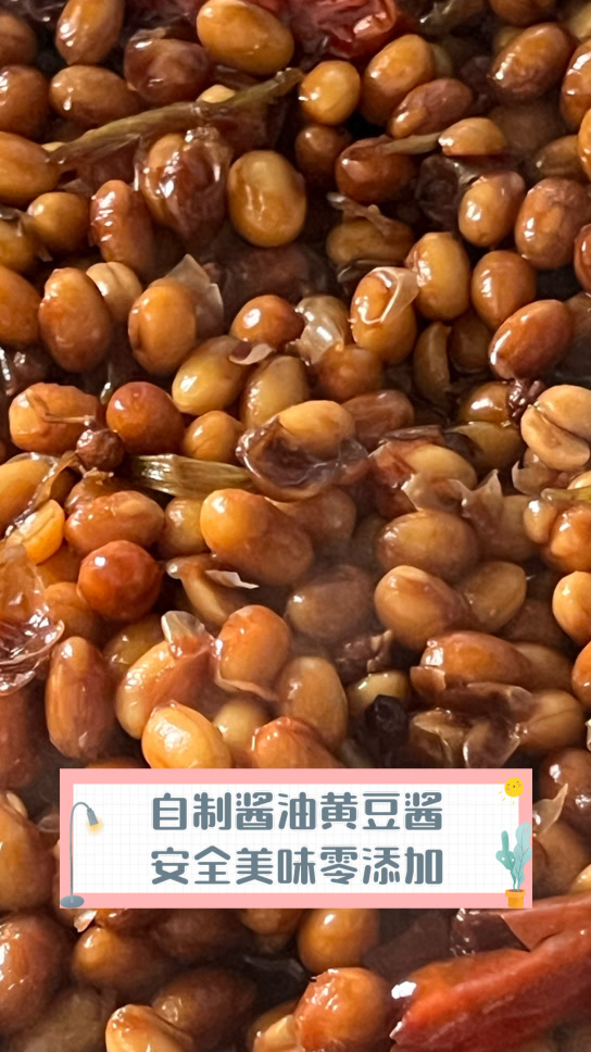 自制酱油黄豆酱,安全美味零添加