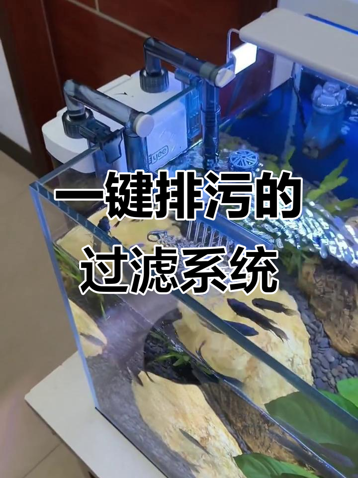 鱼马桶过滤器，一键排污轻松养鱼