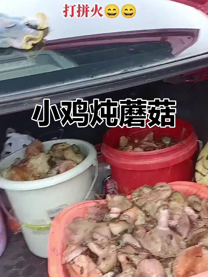 鸡蘑菇炖汤,火拼美味来袭