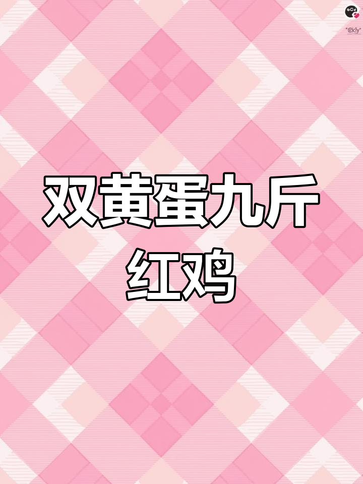 九斤红鸡苗:公母双黄蛋,健康活泼发货