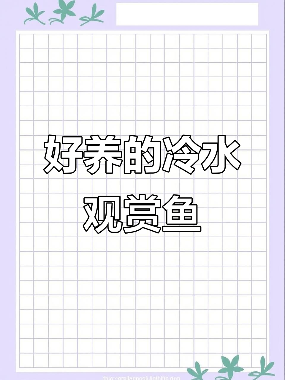 冷水观赏鱼推荐:原生缸必备的耐养品种