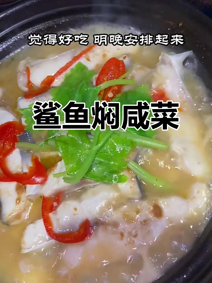 潮汕家庭最爱咸菜煲,搭配鲨鱼焖煮更美味