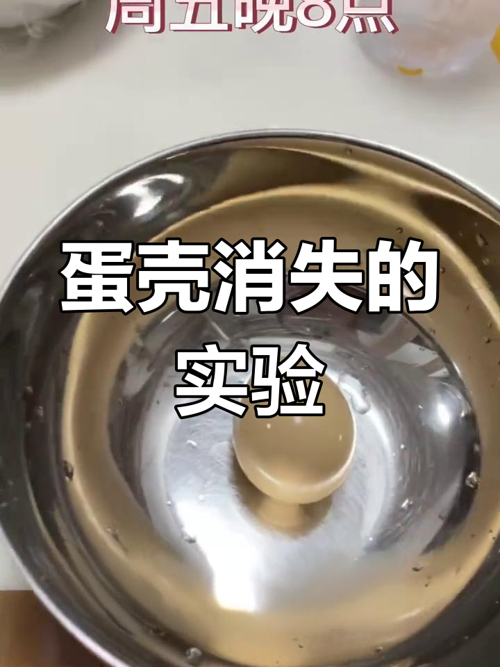 生鸡蛋与白醋的反应实验