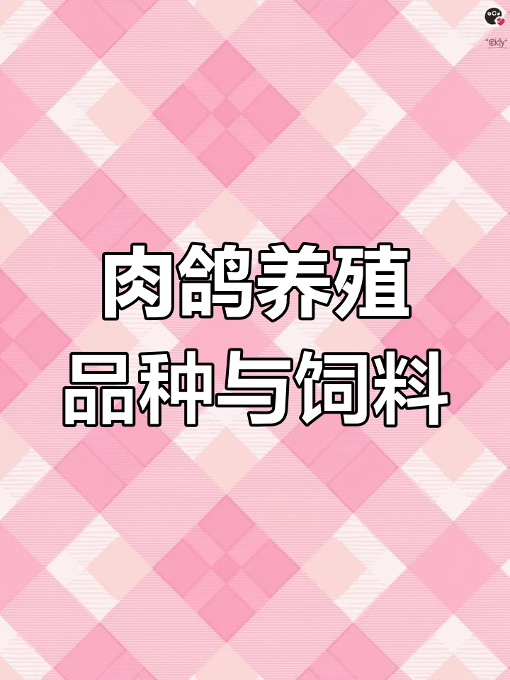 惠州、汕尾、东莞肉鸽养殖品种与饲料管理技巧