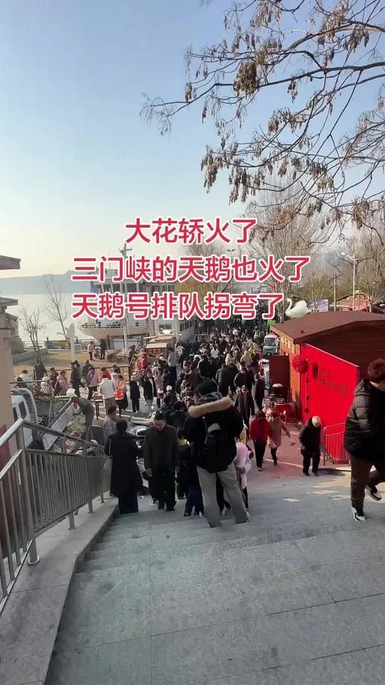 三门峡的天鹅号每天都在排队#真实生活分享计划三门峡天鹅湖大花轿天鹅号游轮