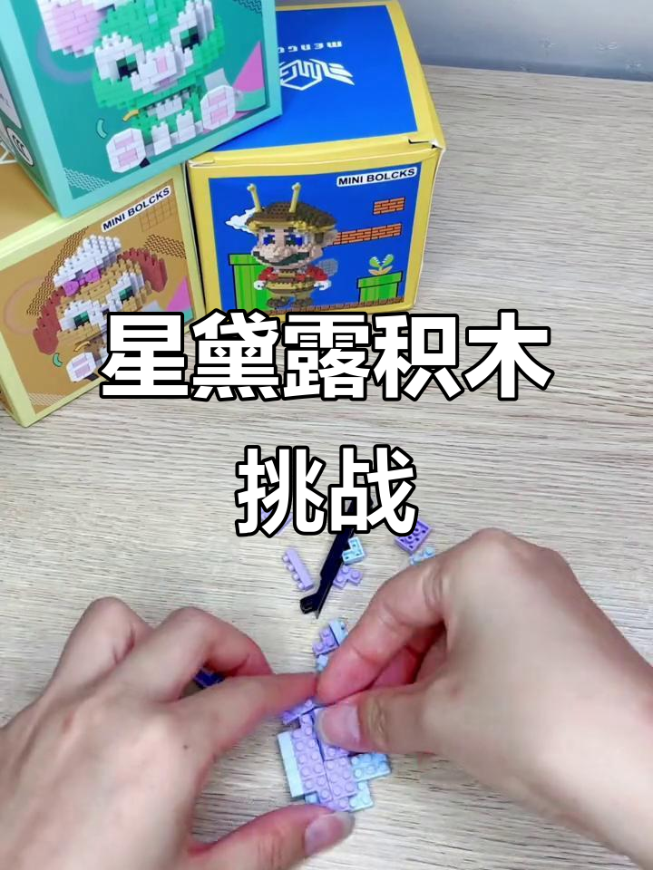 星黛露积木，少女心满满，拼装难度适中