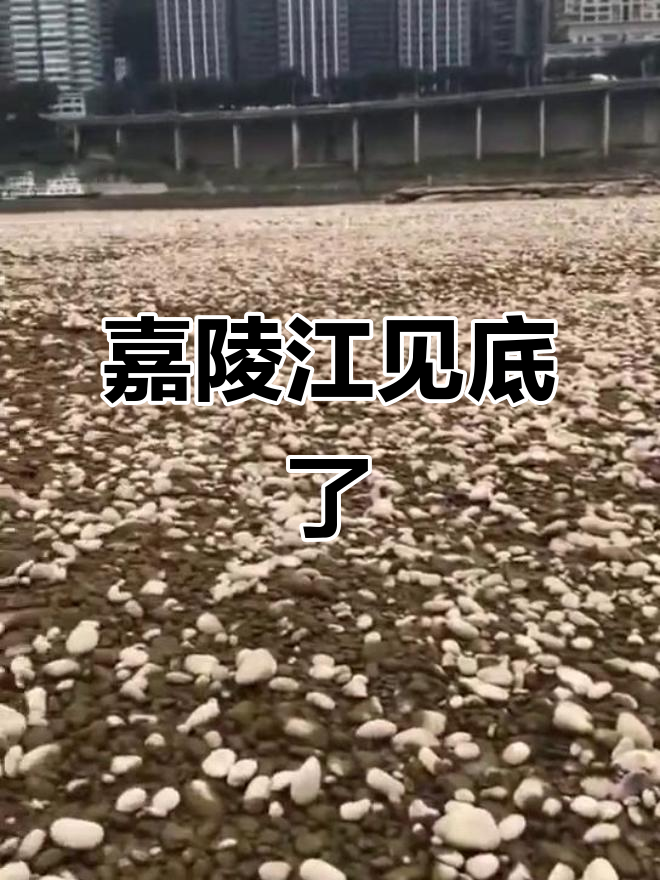8月20日嘉陵江水位暴跌,鹅卵石铺满河床!