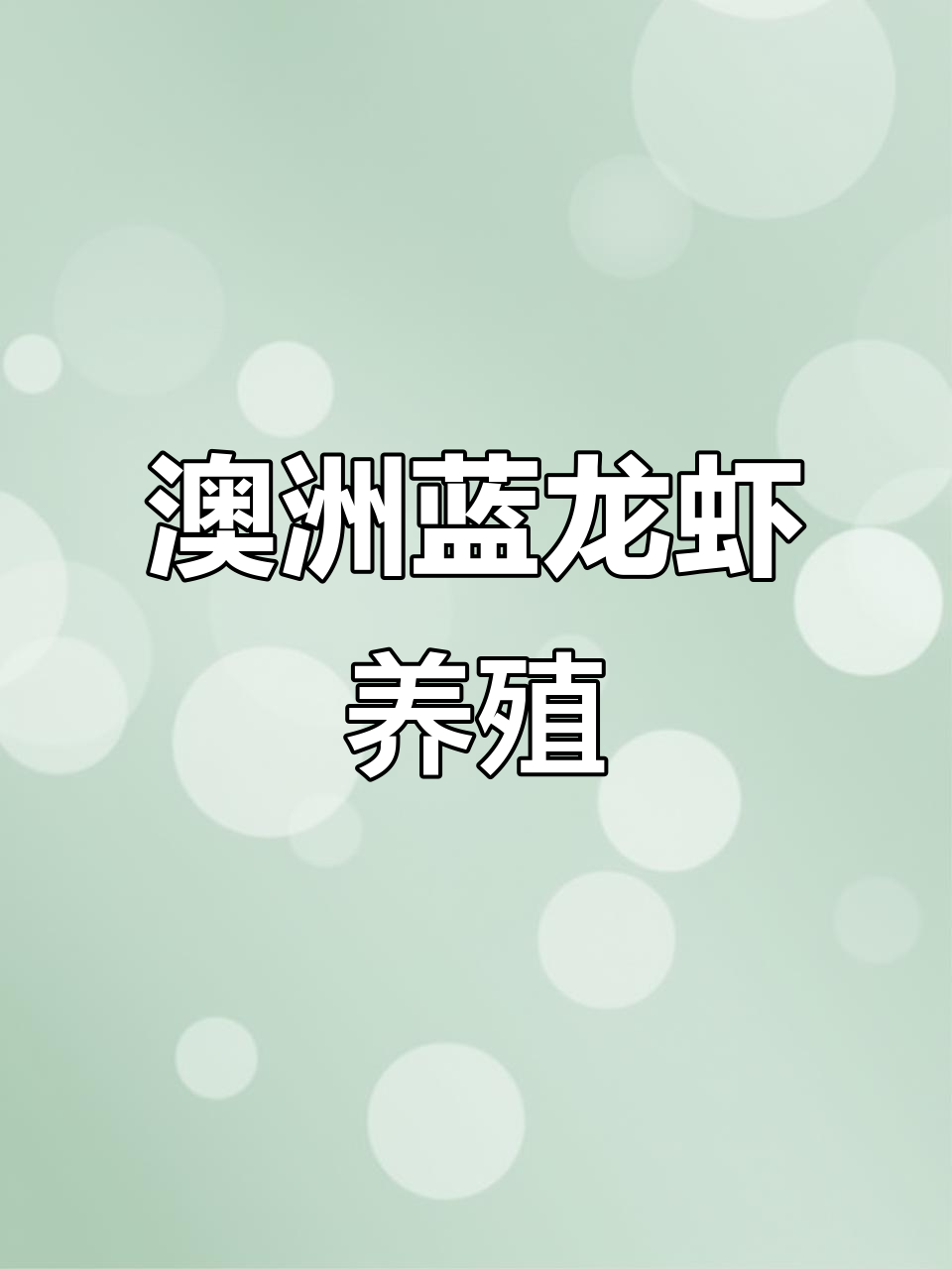 澳洲淡水龙虾养殖揭秘:蓝龙虾为何供不应求