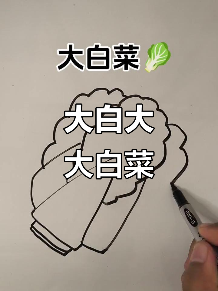 画出可爱大白菜,简单又有趣!