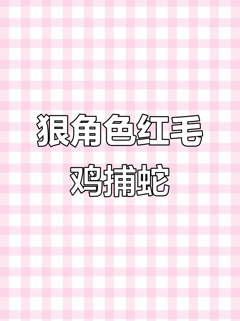 红毛鸡勇斗毒蛇,捕蛇高手惊险连连