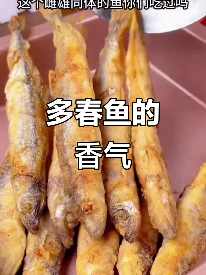 春季多春鱼，香煎至金黄酥脆，口感绝佳！