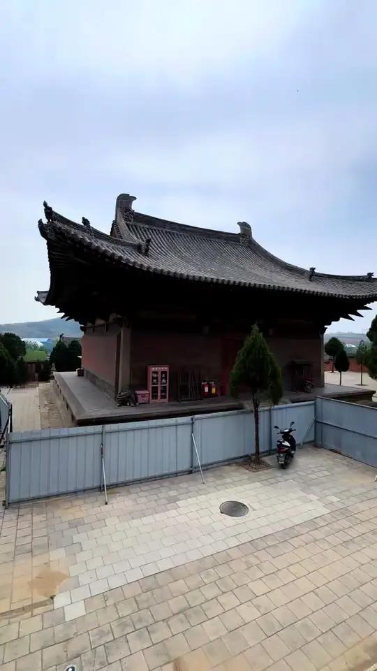 法兴寺毗卢殿前1300年古牡丹,传说是唐高宗李治所栽,一株牡丹仙子一株牡丹王子