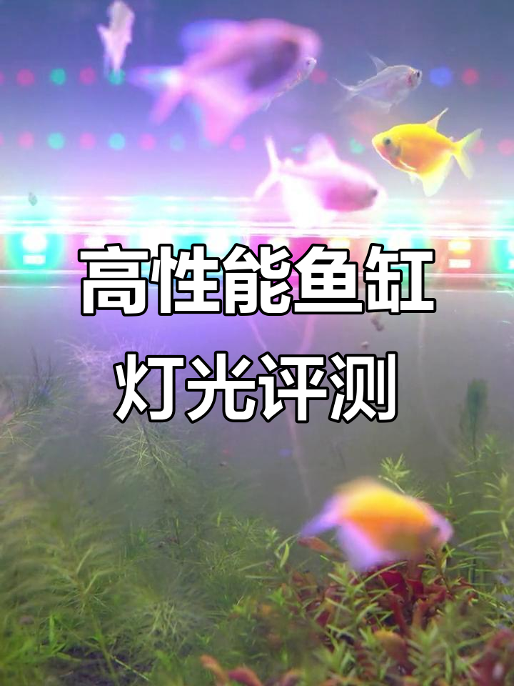 鱼缸潜水灯全测评:高密度LED与散热设计解析