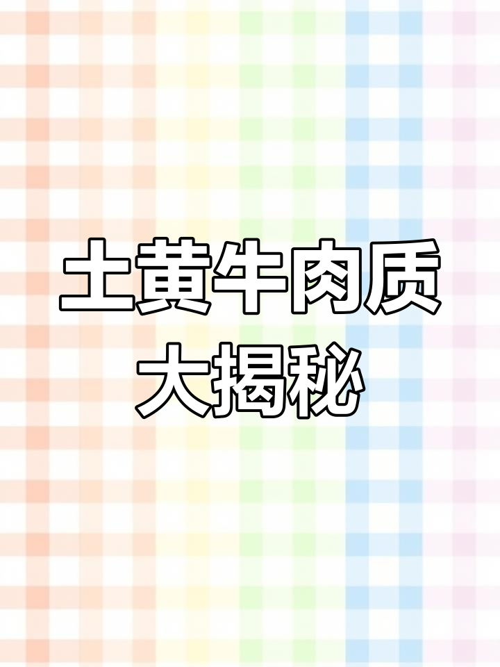 9年土黄牛,前腿肉、肩胛肉全解析