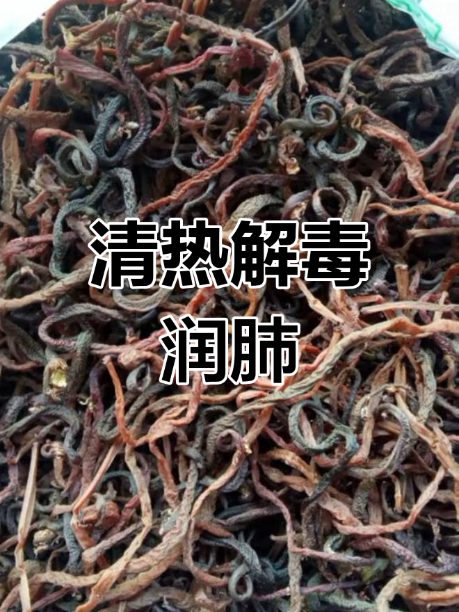 微菜的药用功效与作用