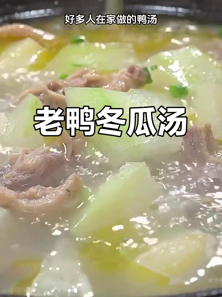 鲜香醇厚冬瓜老鸭汤,炖出完美滋味