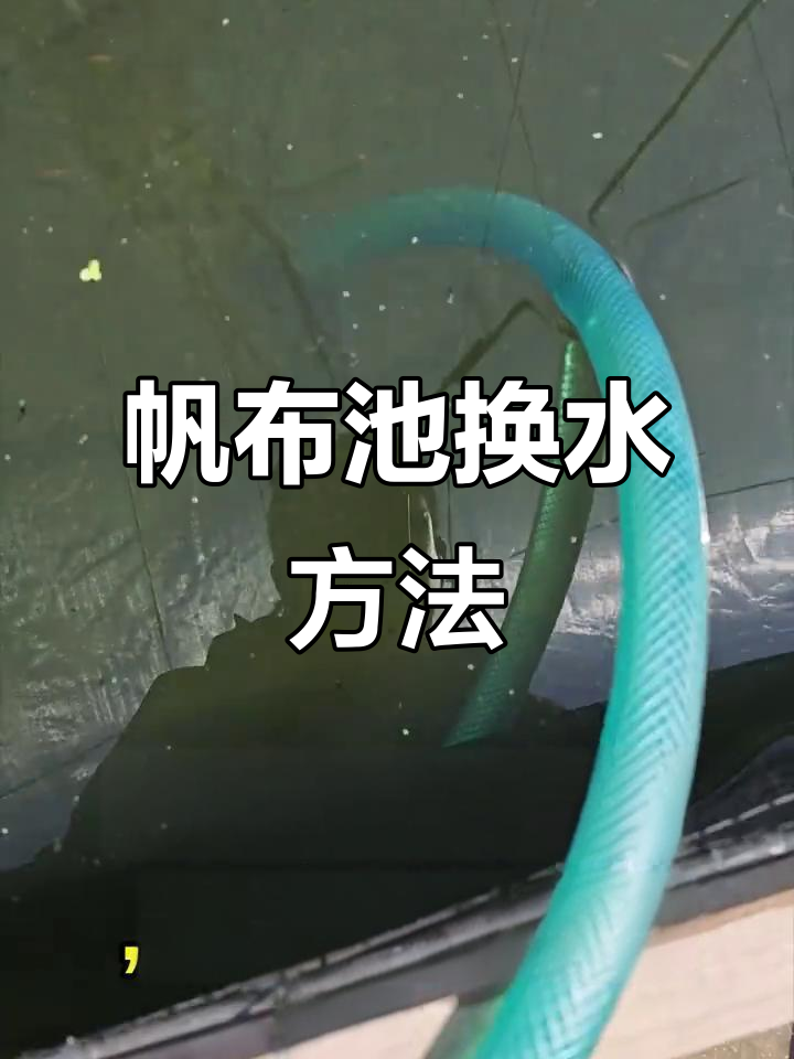 楼顶养鱼换水技巧,帆布池如何轻松排水