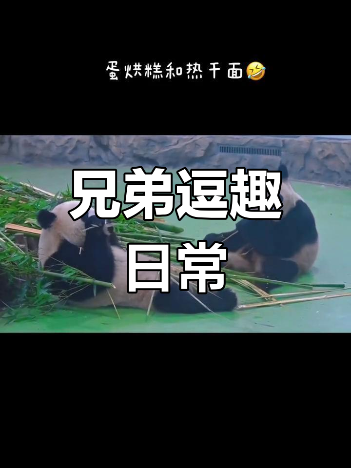 2020年3月17日 蛋烘糕热干面兄弟搞笑互动