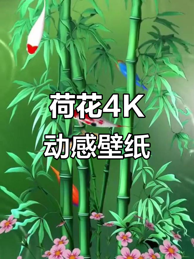 四季常青的荷花动态壁纸,让你的手机焕然一新