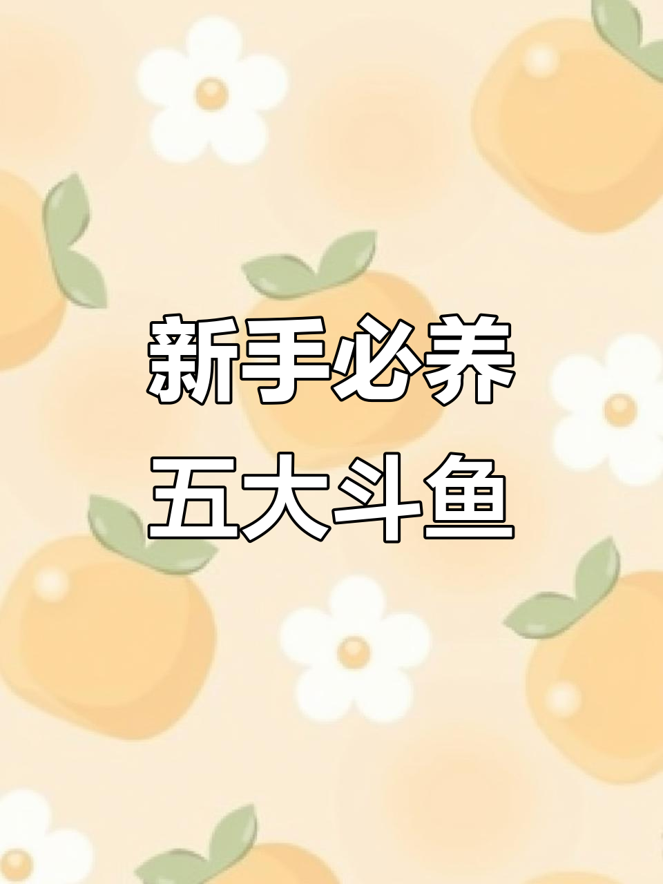 观赏鱼排行:最适合新手养的五种斗鱼推荐