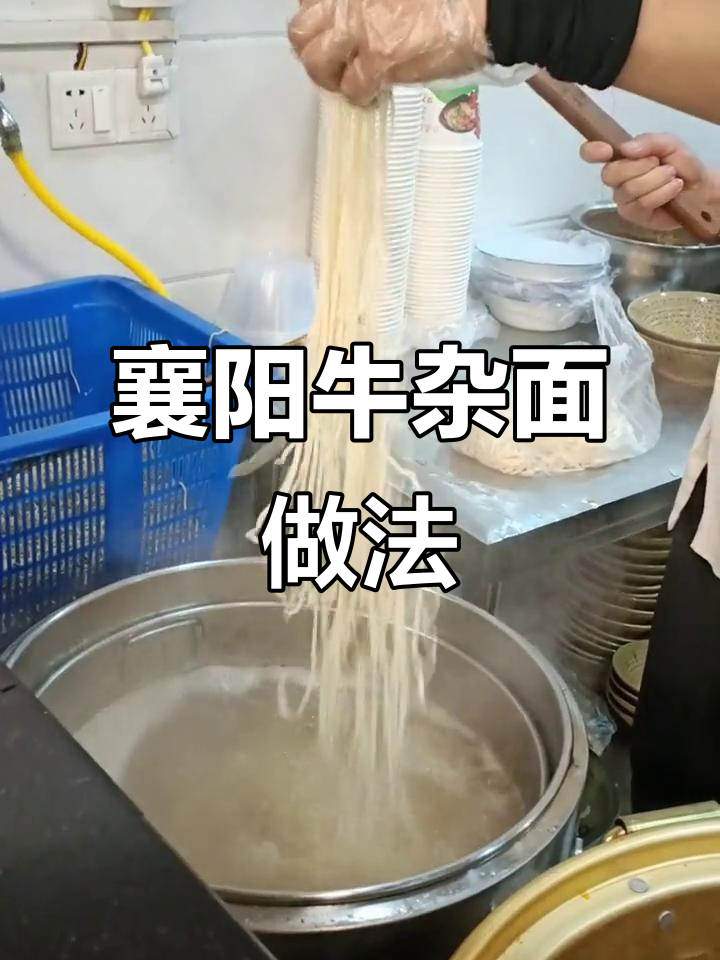 襄阳牛杂面制作秘籍,面条选择技巧大揭秘