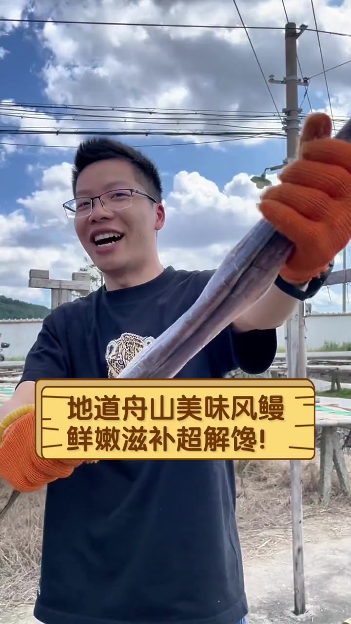 地道舟山美味风鳗,鲜嫩滋补超解馋!