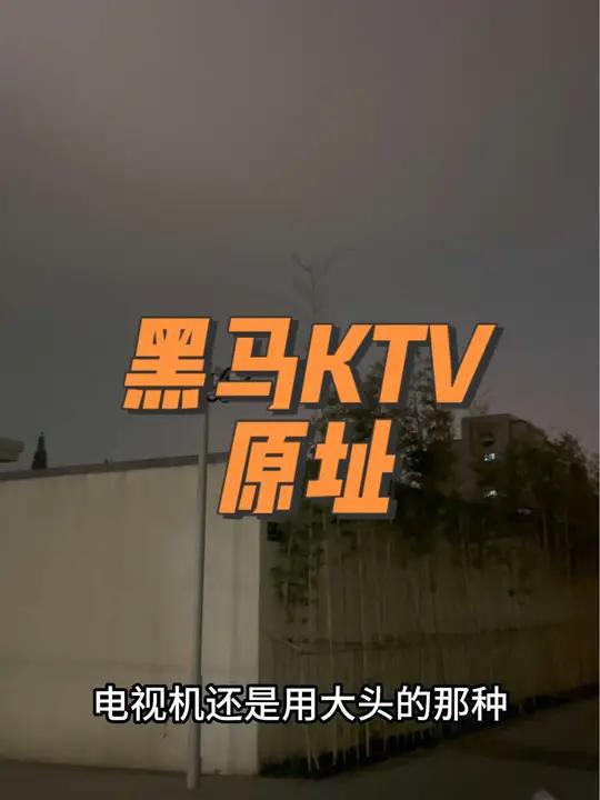 嘉兴 同城发现 现场实拍 喜粤点茶居5年的粤菜馆  又来少年路考古了