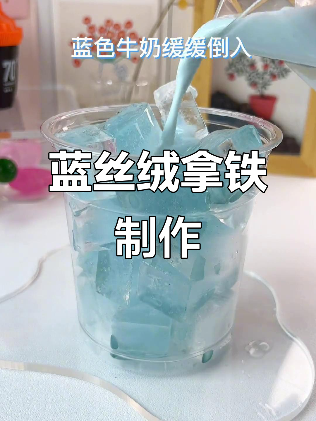 蝶豆花与牛乳的蓝色碰撞,打造梦幻拿铁!