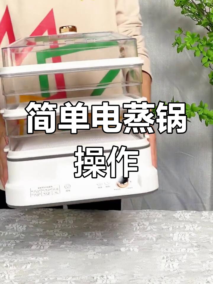 电蒸锅使用全攻略