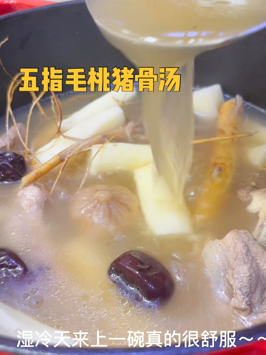 湿冷天很适合喝的五指毛桃猪骨汤!