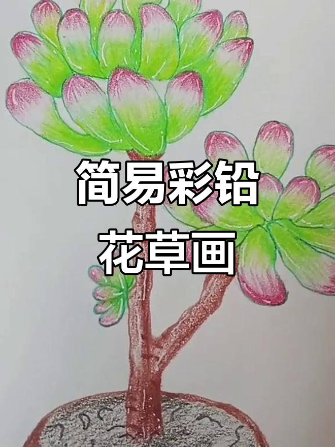 彩铅手绘花草,轻松画出可爱多肉植物