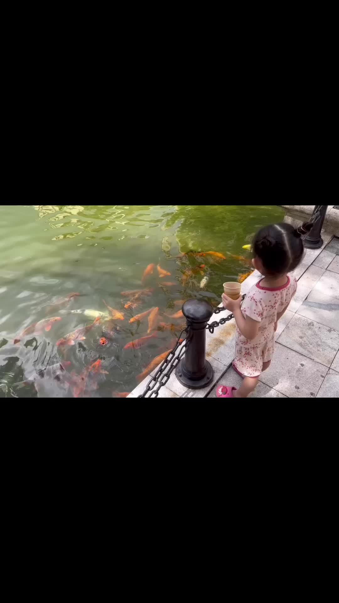 变声 适合三四岁儿童看的早教动画片推荐 你的孩子也是这样玩吗 你的猫孩子也是这样玩吗 让宝