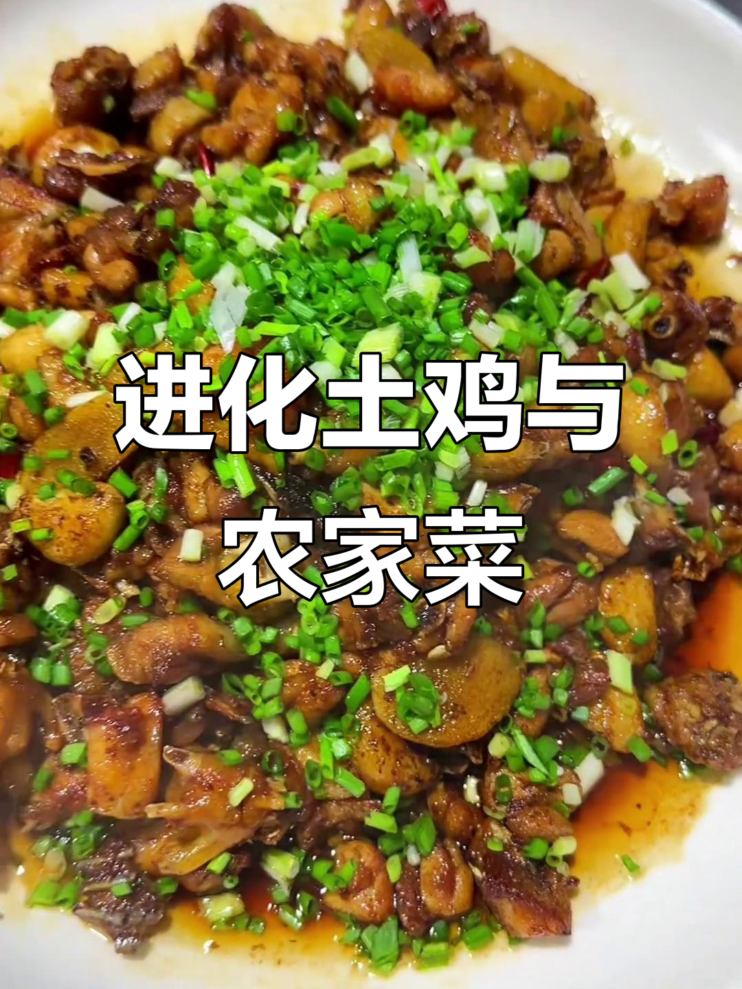 萧山农家菜，进化土鸡大揭秘！建良土菜馆的美味之旅