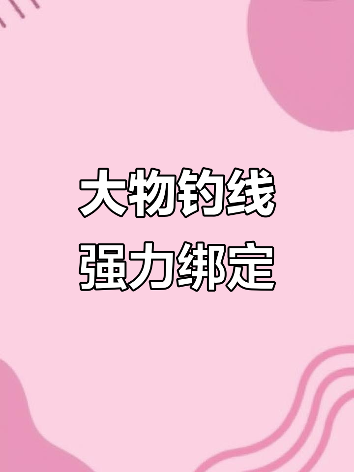 纯手工绑制大物钓鱼线,防散、抗拉力强
