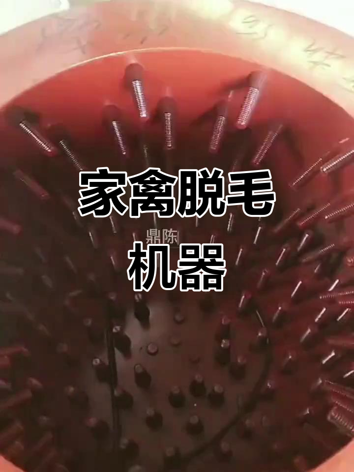 小型家禽脱毛机,不锈钢材质,屠宰必备设备