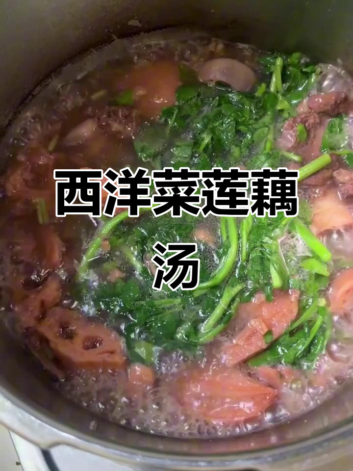 广东人最爱莲藕汤,西洋菜加持更鲜甜