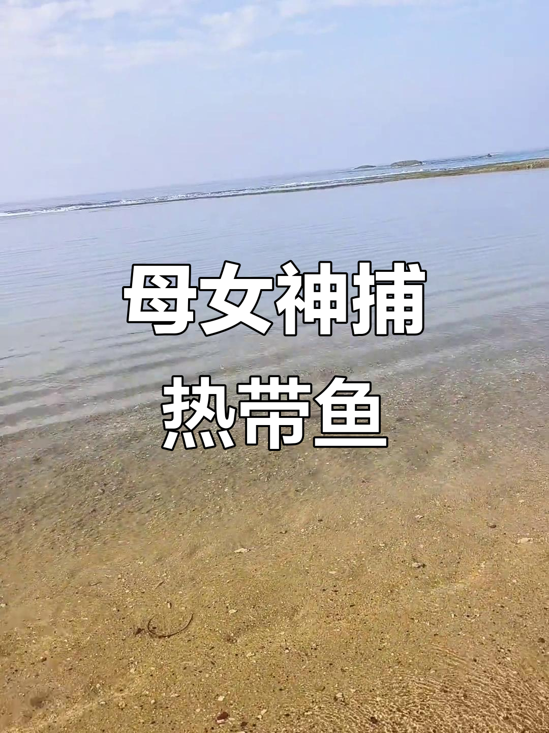 抓热带鱼大作战,妈妈和闺女一起挑战!