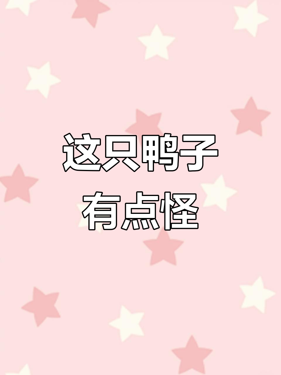 宠物大揭秘:这只冰凉小鸭头,竟然这么有趣!