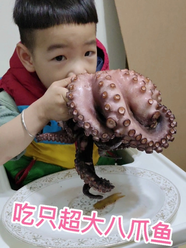 吃超大八爪鱼