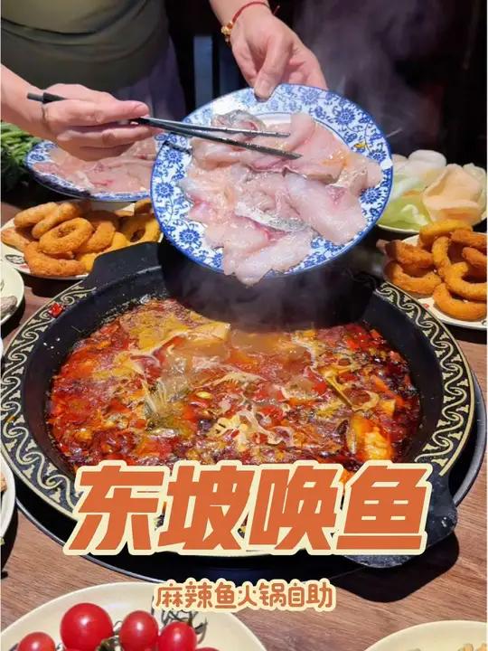 济宁竟然有麻辣鱼火锅自助了?鲜活的厚子鱼竟然可以不限量随便吃,地道川渝麻辣味,吃起来超过瘾